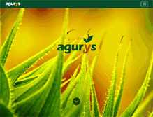 Tablet Screenshot of agurys.com